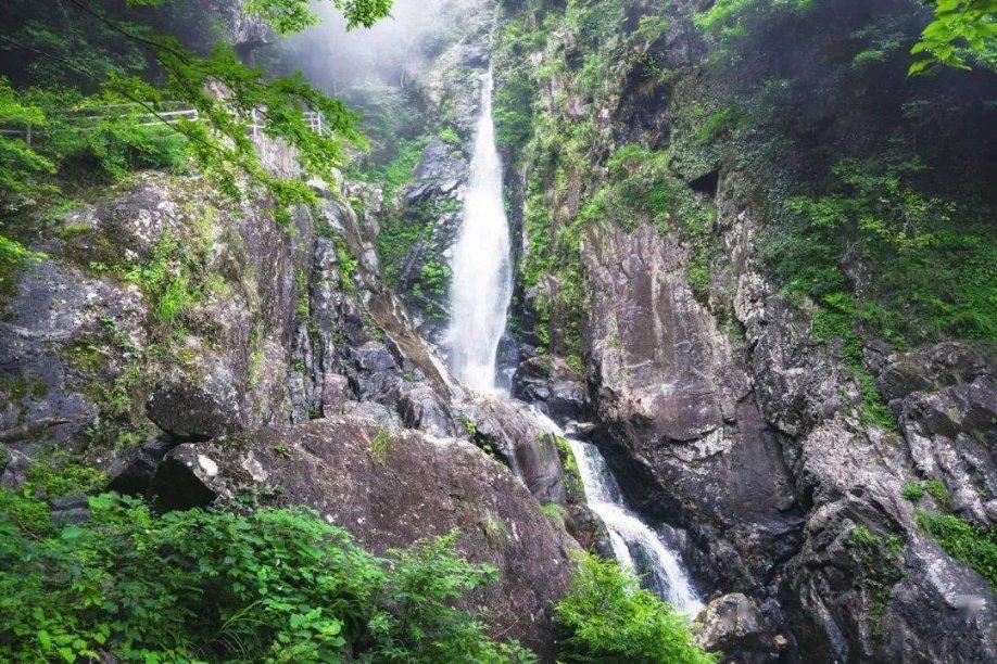 恐龙绝地逃生